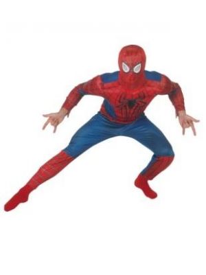 Spiderman 2 Deluxe Costume  887531