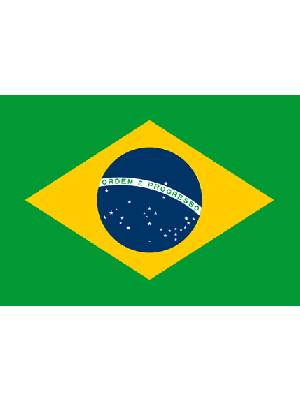 Brazil Brasil 5ft x 3ft World Cup Supporter Football Rugby Flag