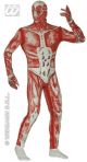 Skinned Alive Costume 4462k