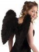 Angel Wings Black 50cmx50cm 52821