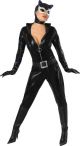 Sexy Catwoman 888486