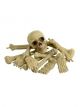 Bag of Bones & Skull 36920