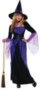 Pretty Potion Witch Halloween Costume 996222