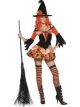 Tainted Garden Wicked Witch Costume  33750