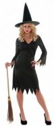 Wicked Witch Adults Costume 997512/997513