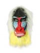 Baboon Rubber Full Head Mask BN Range
